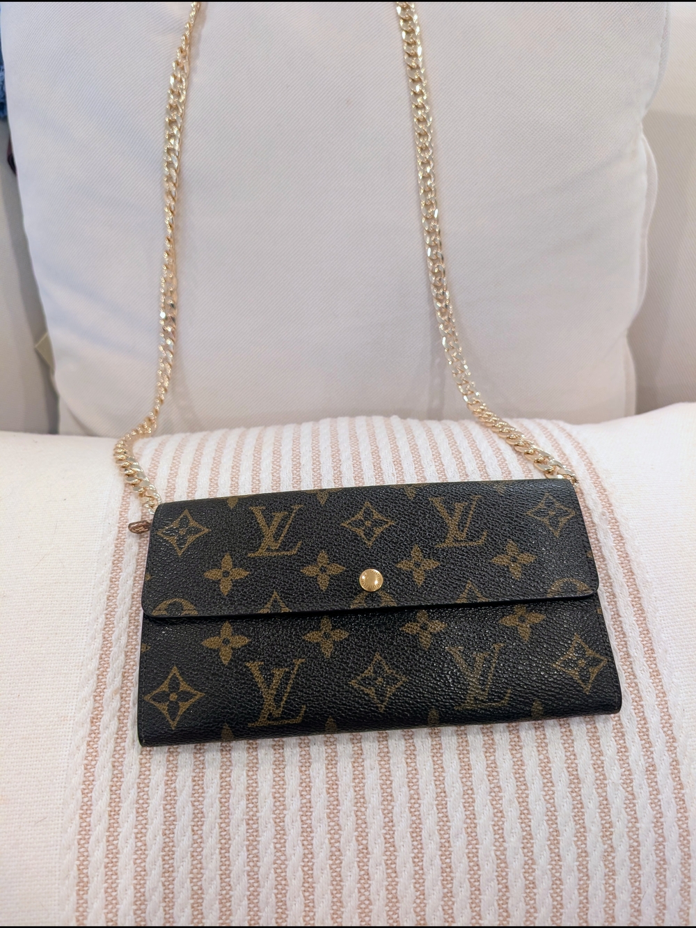 Louis Vuitton Monogram Canvas Chain Wallet in Brown